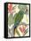 Tropical Parrot Composition I-Annie Warren-Framed Stretched Canvas