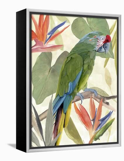 Tropical Parrot Composition I-Annie Warren-Framed Stretched Canvas