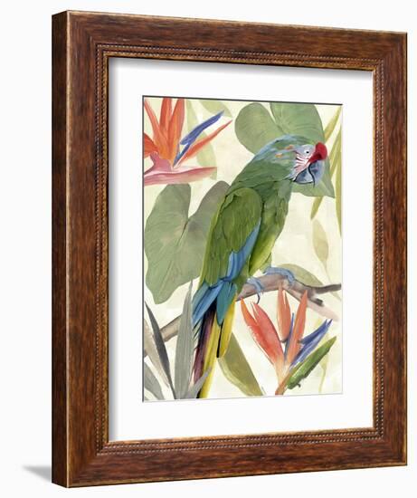 Tropical Parrot Composition I-Annie Warren-Framed Premium Giclee Print