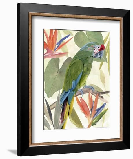 Tropical Parrot Composition I-Annie Warren-Framed Premium Giclee Print