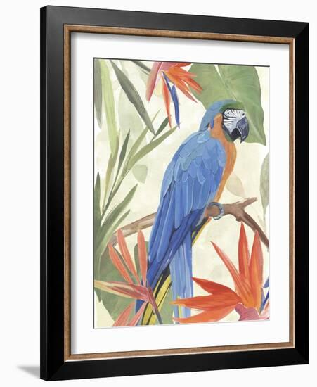 Tropical Parrot Composition IV-Annie Warren-Framed Art Print