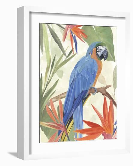 Tropical Parrot Composition IV-Annie Warren-Framed Art Print