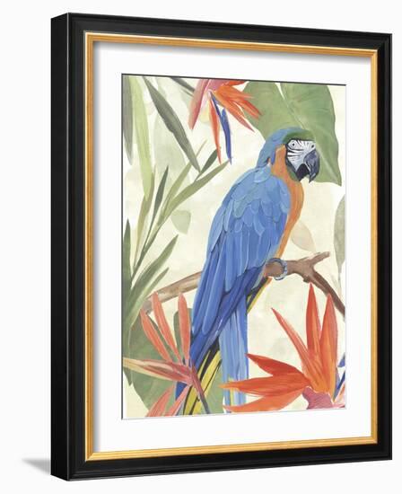 Tropical Parrot Composition IV-Annie Warren-Framed Art Print