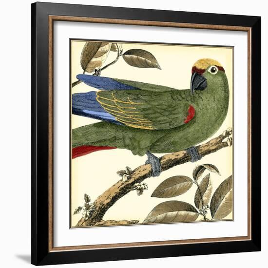 Tropical Parrot I-Martinet-Framed Art Print