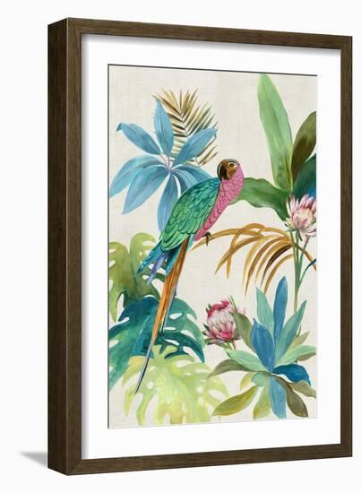 Tropical Parrot I-Aimee Wilson-Framed Art Print