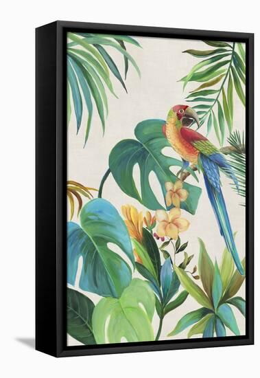 Tropical Parrot II-Aimee Wilson-Framed Stretched Canvas