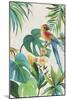 Tropical Parrot II-Aimee Wilson-Mounted Art Print