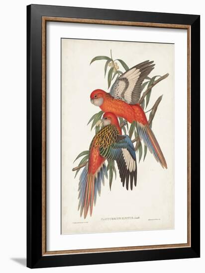 Tropical Parrots I-John Gould-Framed Art Print