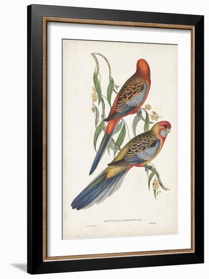 Tropical Parrots II-John Gould-Framed Art Print