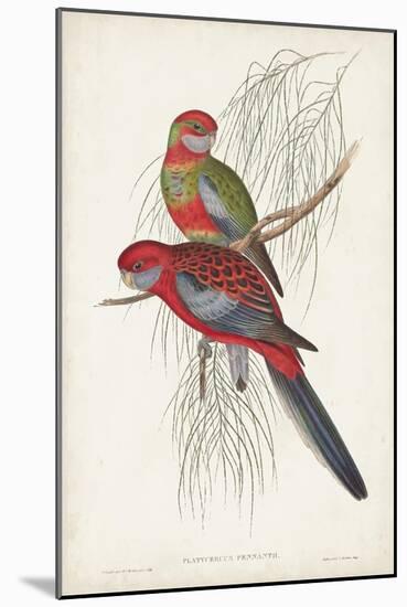 Tropical Parrots III-John Gould-Mounted Art Print