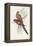 Tropical Parrots III-John Gould-Framed Stretched Canvas