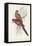 Tropical Parrots III-John Gould-Framed Stretched Canvas