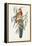 Tropical Parrots IV-John Gould-Framed Stretched Canvas