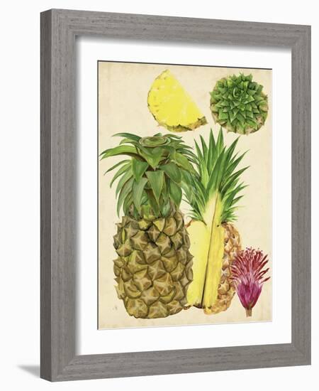 Tropical Pineapple Study I-Melissa Wang-Framed Art Print