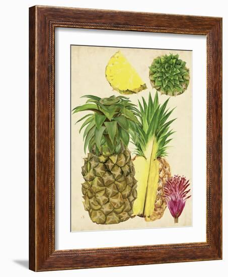 Tropical Pineapple Study I-Melissa Wang-Framed Art Print