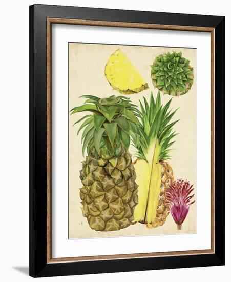 Tropical Pineapple Study I-Melissa Wang-Framed Art Print