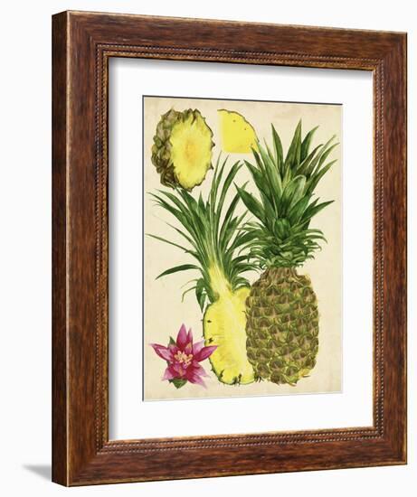 Tropical Pineapple Study II-Melissa Wang-Framed Premium Giclee Print