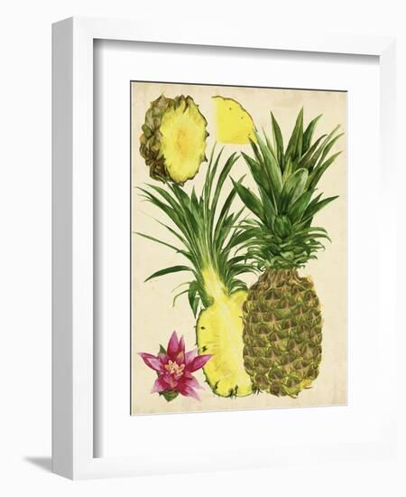 Tropical Pineapple Study II-Melissa Wang-Framed Premium Giclee Print