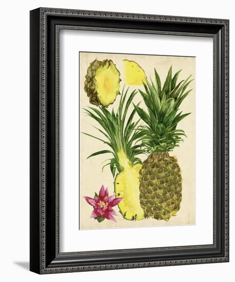 Tropical Pineapple Study II-Melissa Wang-Framed Premium Giclee Print