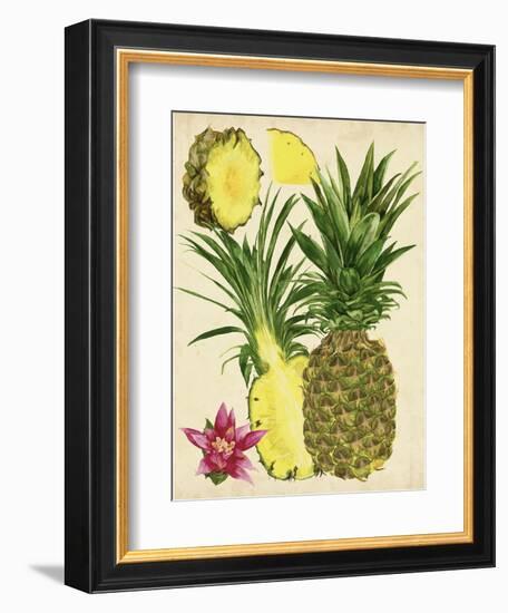 Tropical Pineapple Study II-Melissa Wang-Framed Premium Giclee Print