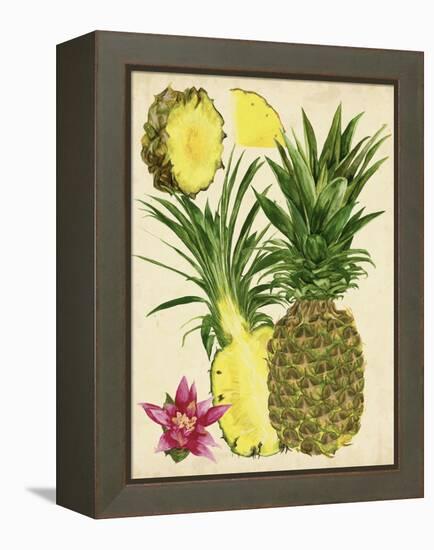 Tropical Pineapple Study II-Melissa Wang-Framed Stretched Canvas