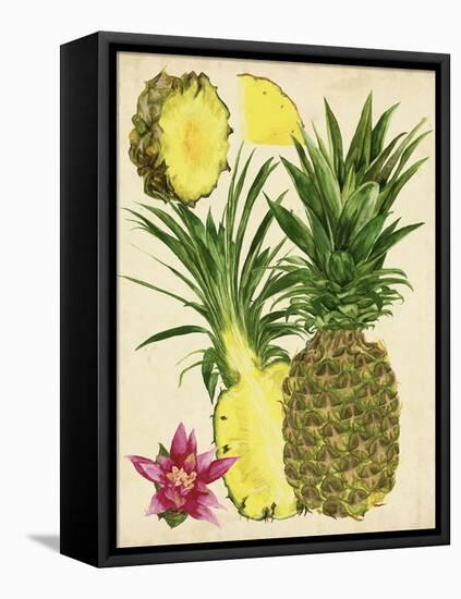 Tropical Pineapple Study II-Melissa Wang-Framed Stretched Canvas