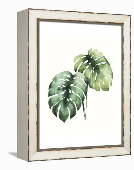 Tropical Plant I-Grace Popp-Framed Stretched Canvas