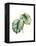 Tropical Plant I-Grace Popp-Framed Stretched Canvas