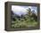 Tropical Plantation Garden, Maui, Hawaii, Hawaiian Islands, USA-Ken Gillham-Framed Premier Image Canvas