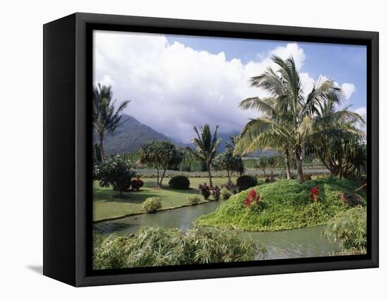 Tropical Plantation Garden, Maui, Hawaii, Hawaiian Islands, USA-Ken Gillham-Framed Premier Image Canvas