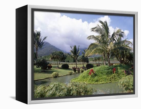 Tropical Plantation Garden, Maui, Hawaii, Hawaiian Islands, USA-Ken Gillham-Framed Premier Image Canvas