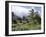 Tropical Plantation Garden, Maui, Hawaii, Hawaiian Islands, USA-Ken Gillham-Framed Photographic Print