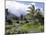Tropical Plantation Garden, Maui, Hawaii, Hawaiian Islands, USA-Ken Gillham-Mounted Photographic Print