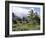 Tropical Plantation Garden, Maui, Hawaii, Hawaiian Islands, USA-Ken Gillham-Framed Photographic Print