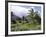 Tropical Plantation Garden, Maui, Hawaii, Hawaiian Islands, USA-Ken Gillham-Framed Photographic Print