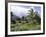 Tropical Plantation Garden, Maui, Hawaii, Hawaiian Islands, USA-Ken Gillham-Framed Photographic Print