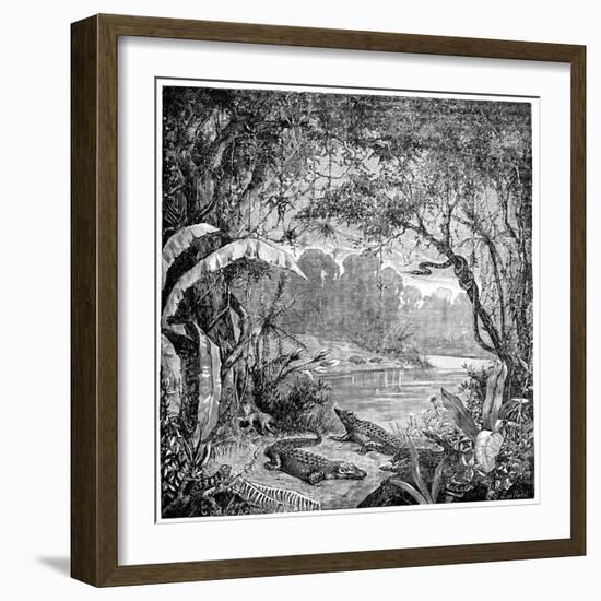 Tropical Plants And Reptiles-Science Photo Library-Framed Photographic Print