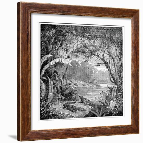 Tropical Plants And Reptiles-Science Photo Library-Framed Photographic Print