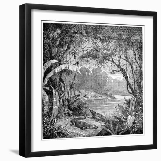 Tropical Plants And Reptiles-Science Photo Library-Framed Photographic Print