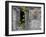 Tropical Plants, St. Pierre, Martinique, French Antilles, West Indies-Scott T. Smith-Framed Photographic Print