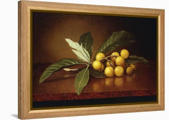 Tropical Plums-Martin Johnson Heade-Framed Premier Image Canvas