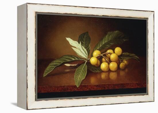 Tropical Plums-Martin Johnson Heade-Framed Premier Image Canvas