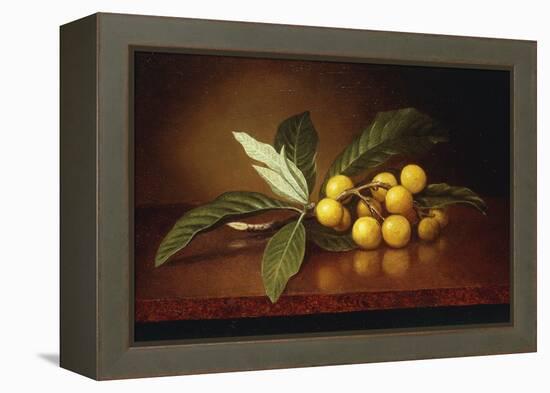 Tropical Plums-Martin Johnson Heade-Framed Premier Image Canvas