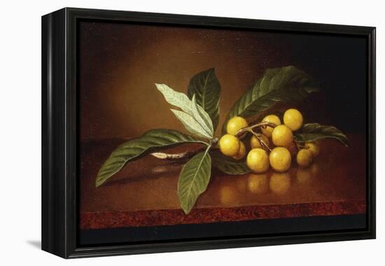 Tropical Plums-Martin Johnson Heade-Framed Premier Image Canvas