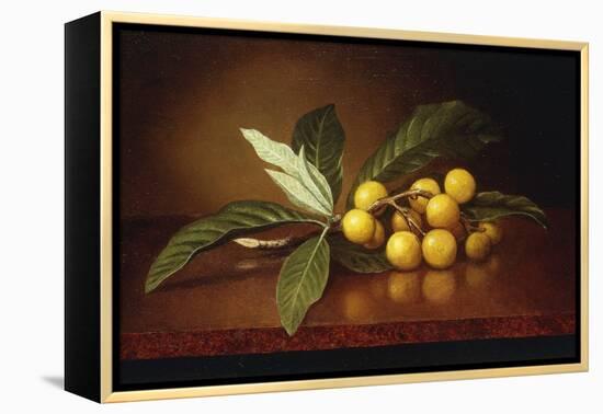 Tropical Plums-Martin Johnson Heade-Framed Premier Image Canvas