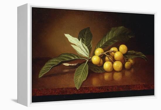 Tropical Plums-Martin Johnson Heade-Framed Premier Image Canvas