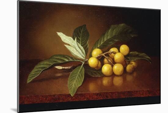 Tropical Plums-Martin Johnson Heade-Mounted Giclee Print