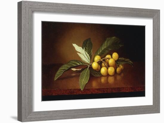 Tropical Plums-Martin Johnson Heade-Framed Giclee Print