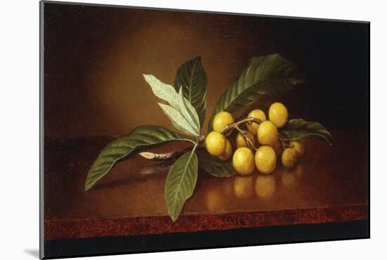 Tropical Plums-Martin Johnson Heade-Mounted Giclee Print