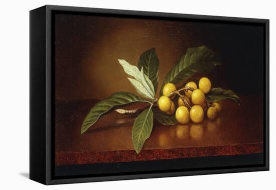 Tropical Plums-Martin Johnson Heade-Framed Premier Image Canvas